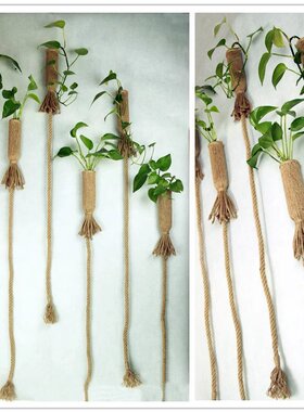 水培植物玻璃花插复古麻绳装饰