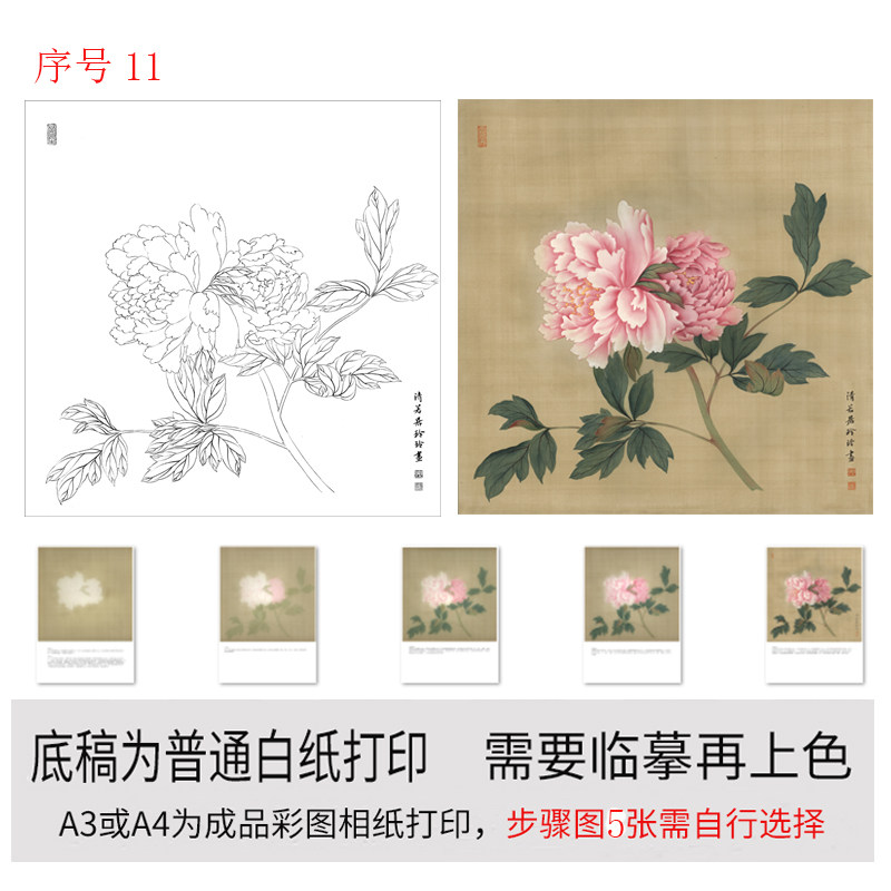 有步骤图工笔画打印白描底稿没骨牡丹用于初学者临摹勾线练习上色,淘宝优惠券,粉丝福利购,淘宝优惠卷
