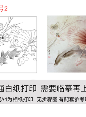国画工笔画打印白描底稿龚雪青鱼搞初学者临摹勾线上色练习