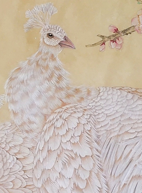 国画底稿新款横幅竖幅孔雀白描线稿初学者钩线练习宣纸过稿装饰画