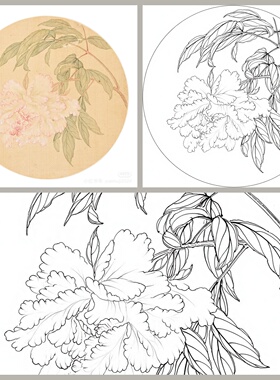 工笔画打印白描底稿圆形沒骨花卉六幅绘画临摹素材白描线稿