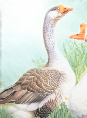 国画工笔画打印白描底稿姚霁月花鸟初学者临摹勾线过搞上色练习