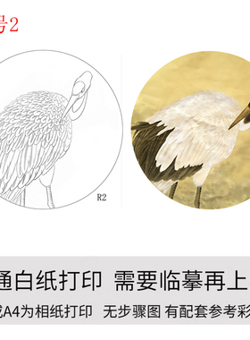 国画工笔画打印白描底稿鹤圆形初学者临摹勾线上色过稿练习
