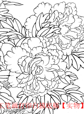 国画工笔画打印白描底稿花鸟竖幅初学者临摹勾线过搞上色练习