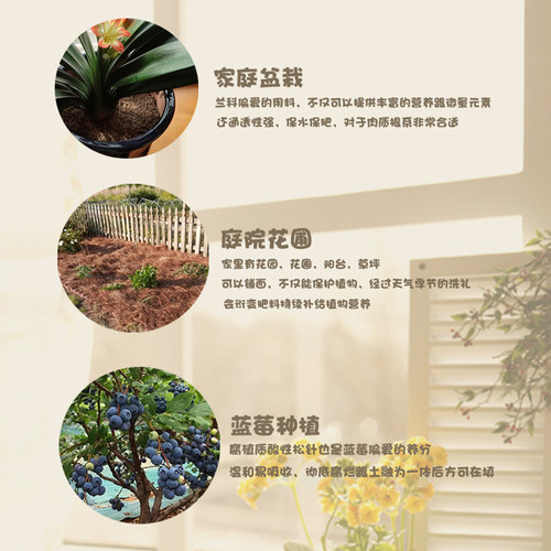 东北落叶松针腐殖土兰花土蓝莓土杜鹃土茶花土酸性土壤种植通用型 - 图1