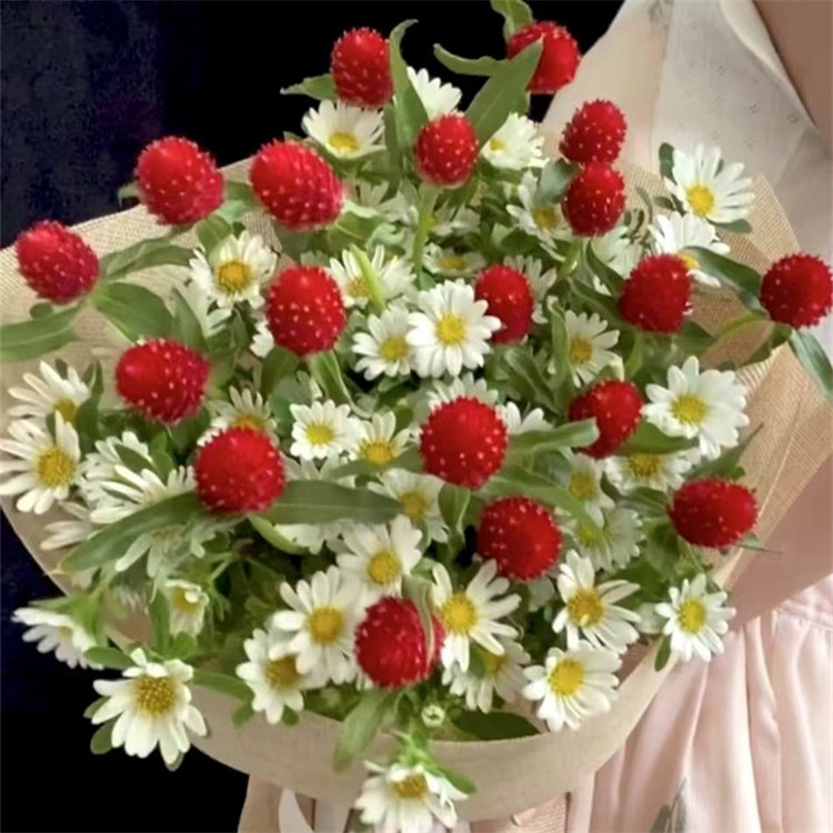草莓果花束配花草莓果干花天然干花千日红花束小清新ins风发财果,淘宝优惠券,粉丝福利购,淘宝优惠卷