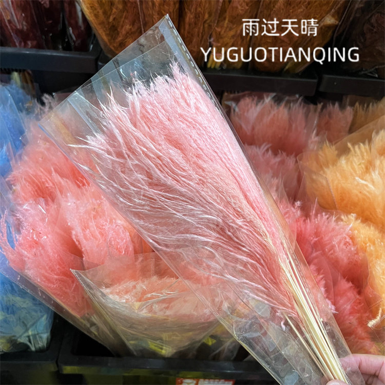 拂尘芦苇干花花束小芦苇金丝草天然干花瓶插花花束配花家居装饰,淘宝优惠券,粉丝福利购,淘宝优惠卷