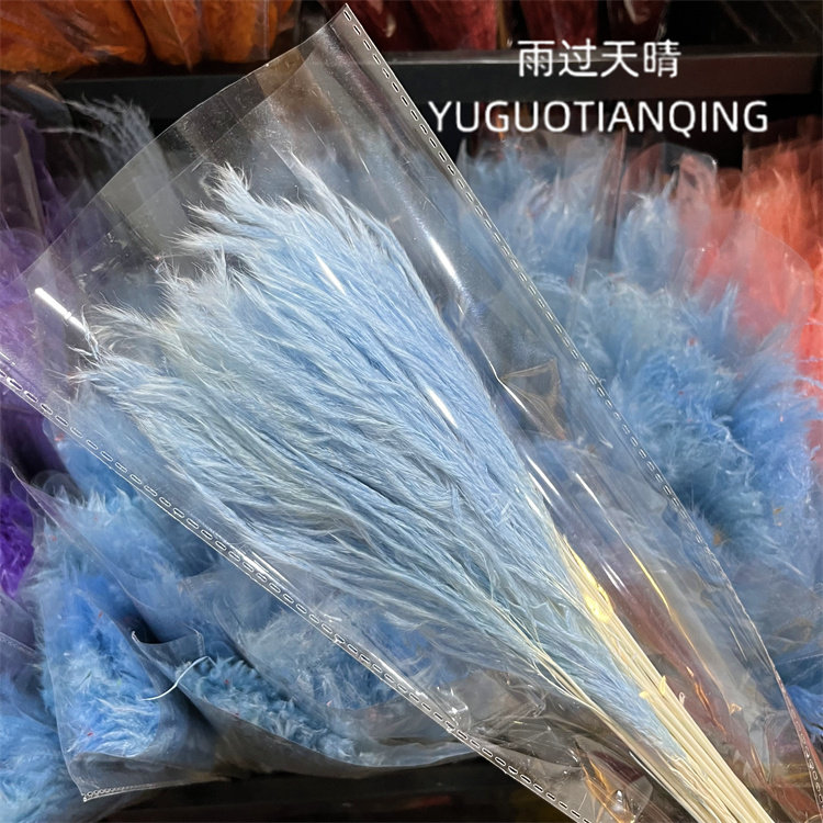 拂尘芦苇干花花束小芦苇金丝草天然干花瓶插花花束配花家居装饰,淘宝优惠券,粉丝福利购,淘宝优惠卷