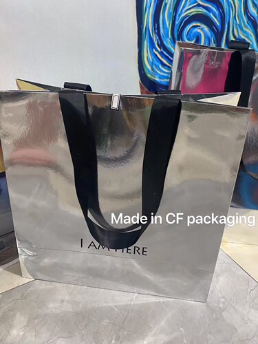 手提袋定制纸袋服装店包装袋拍照道具加长宽丝带银色烫字礼品袋 - 图2