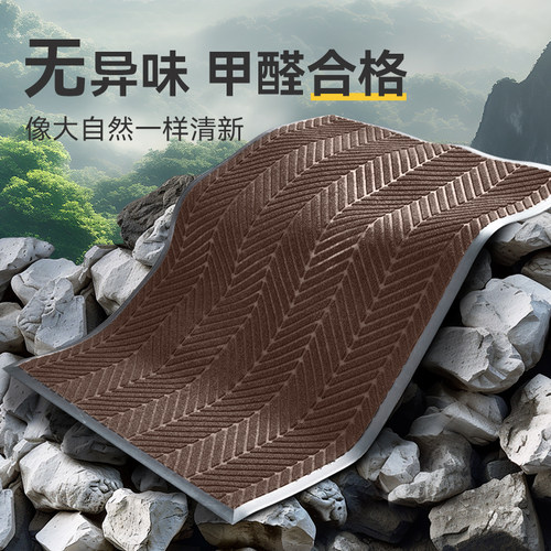 别墅入户门地垫2026新款进门防滑门垫门口地毯可擦洗脚垫耐脏垫子 - 图3