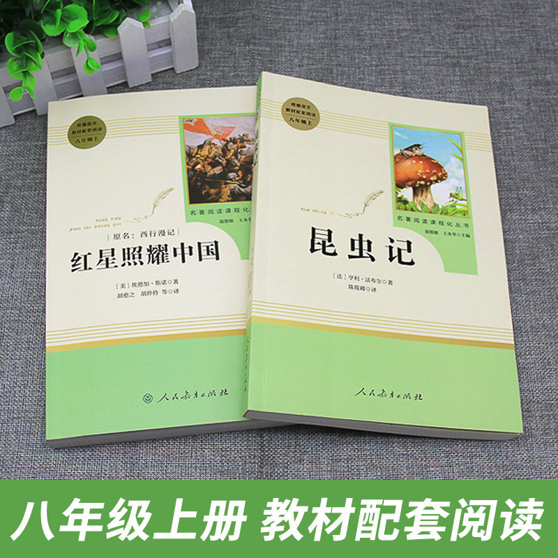 人教版八年级红星照耀中国昆虫记钢铁是怎样炼成的傅雷家书正版原著无删减人教社初中生课外阅读书籍世界名著人民教育出版社