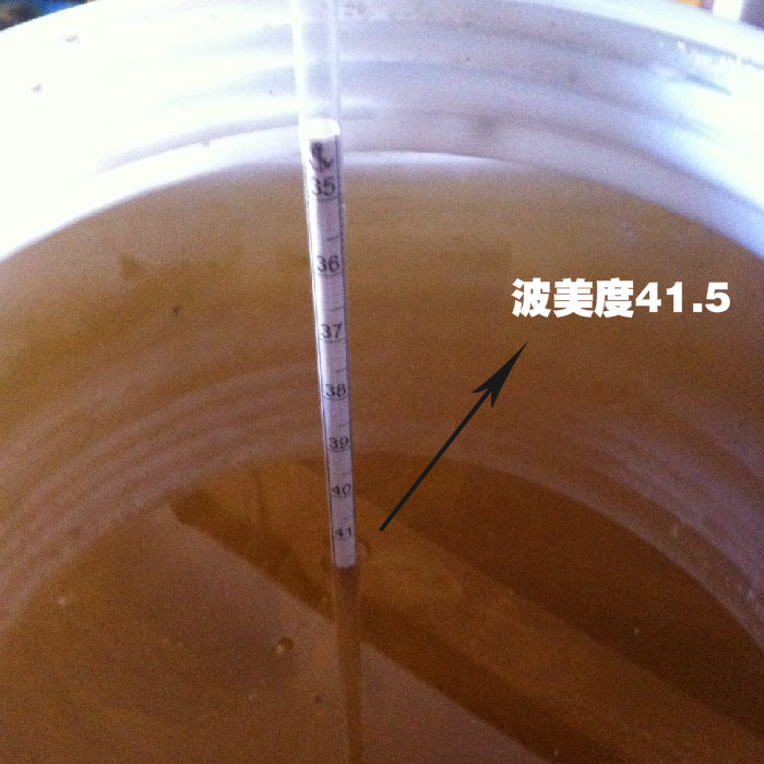 41度纯正蜂蜜天然农家自产野生洋槐蜜百花土蜂蜜槽蜜无添加包邮 - 图1