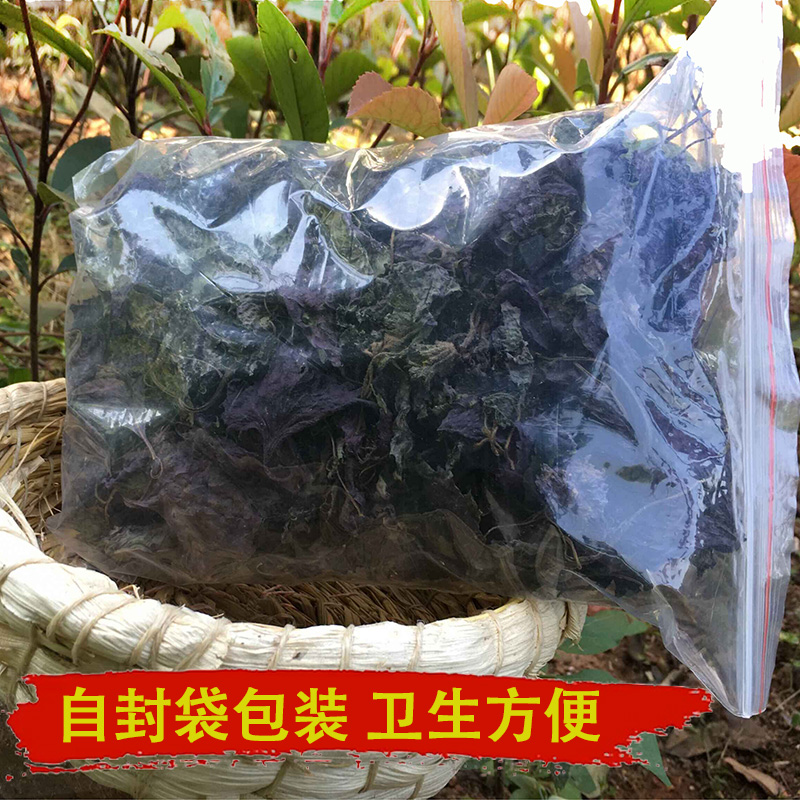 新鲜野生紫苏叶干农家苏叶泡茶泡澡去腥提鲜食用香料无粗梗送种子 - 图2