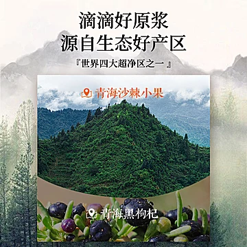 3袋！呀啦嗦黑枸杞原浆枸杞汁[6元优惠券]-寻折猪