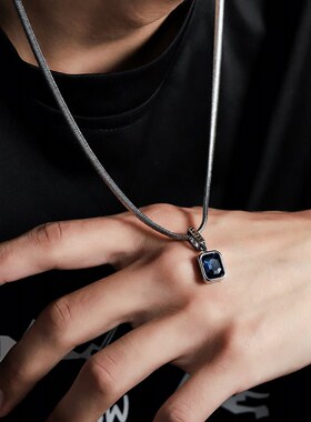 宝石项链男钛钢不掉色个性轻奢风设计高级感蛇骨链配饰女百搭饰品