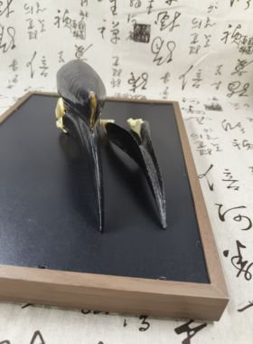 犀鸟仿真头骨黑盔燥犀鸟头骨树脂模型科教认知工艺品个性鸟类摆件