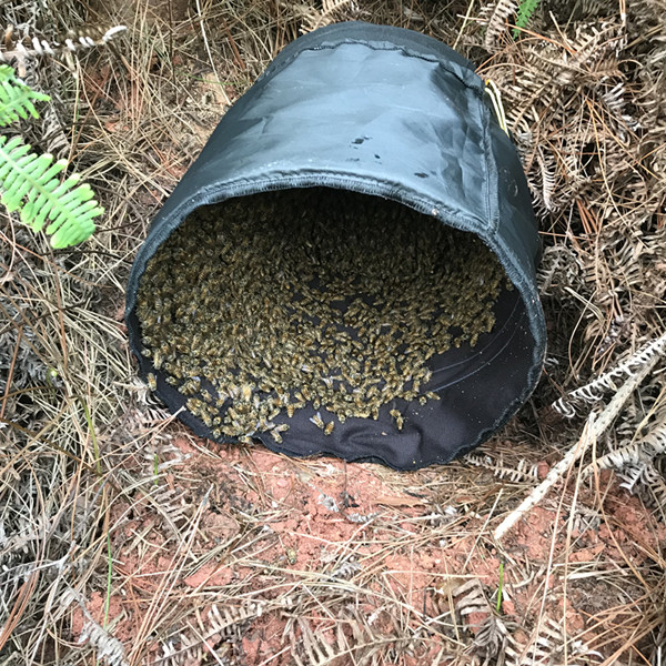 蜜蜂收蜂笼招蜂袋新型折叠诱蜂布袋捕土蜂捉野外分蜂群中蜂引蜂笼