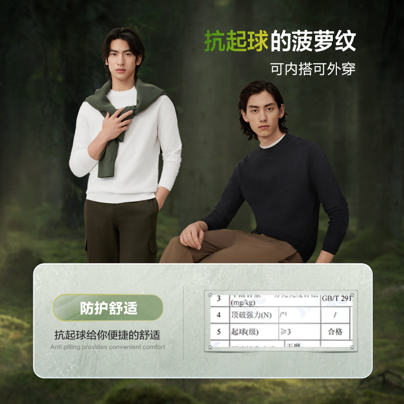 红豆男装圆领含羊毛菠萝纹男士毛衫25秋季新品休闲针织衫打底衫,淘宝优惠券,粉丝福利购,淘宝优惠卷