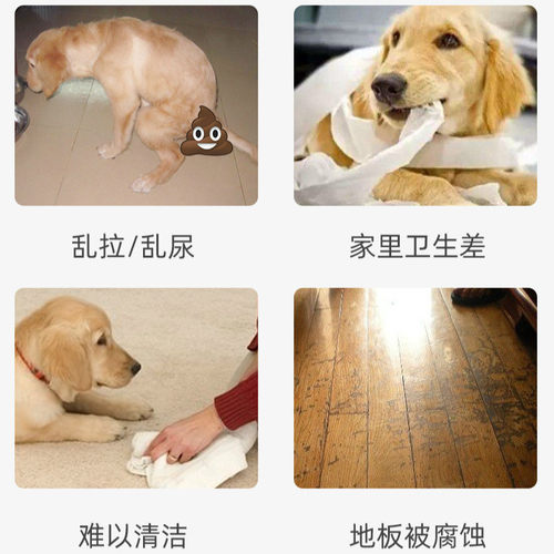 狗厕所大号大型宠物狗狗用品尿盆尿盘便盆便便器平板网格带立柱 - 图0