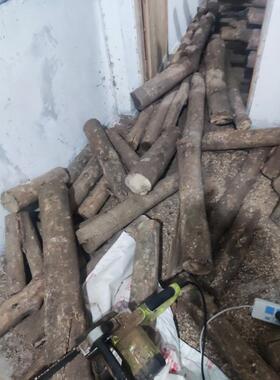 金丝楠木料原木自带香味金丝楠目