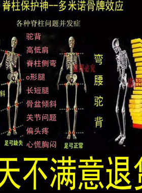 体衡骨盆脊柱侧弯长短腿背纠正器