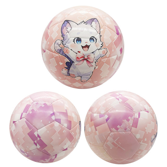 冠晟正品萌宠粉5号足球中考学生训练比赛生日礼物青少年儿童成人