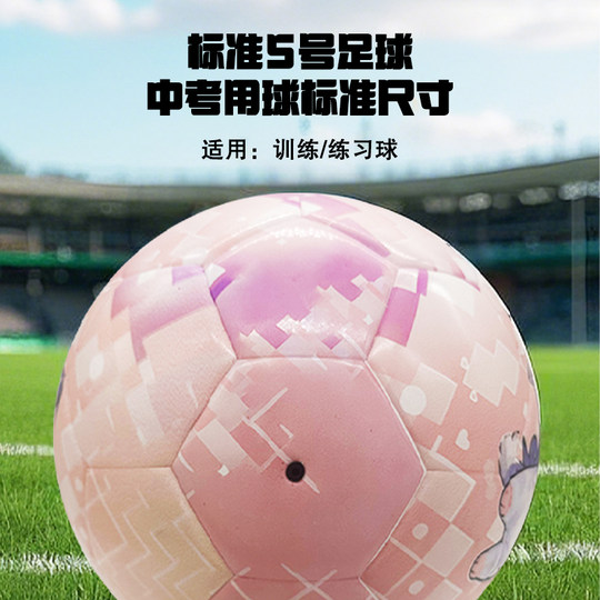 冠晟正品萌宠粉5号足球中考学生训练比赛生日礼物青少年儿童成人