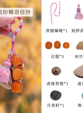天然果壳种子挂铃材料包疗愈植物果实风铃背包小挂件手工diy配件