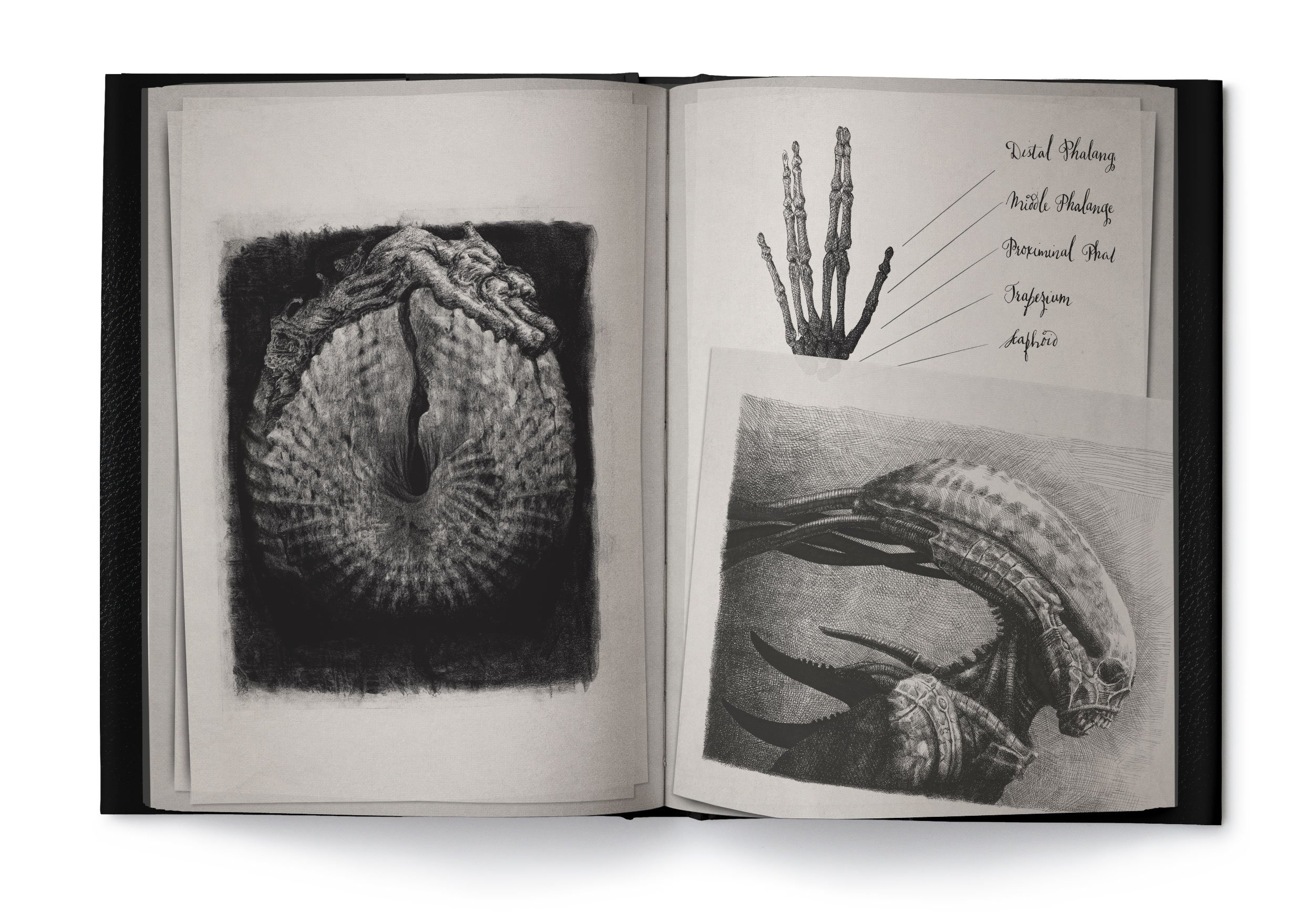 现货英文原版异形契约：大卫手稿设定集 2册精装 Alien Covenant: David's Drawings外星生物艺术设计手绘手稿集画集-图1