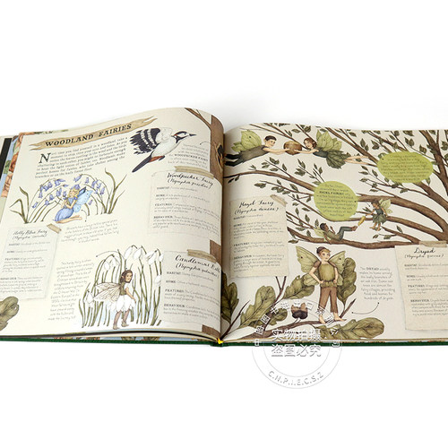 英文原版 A Natural History of Fairies 精灵的自然历史 艺术绘本 压花布封面 仙子的秘密生活 精装珍藏版 进口正版书 - 图3