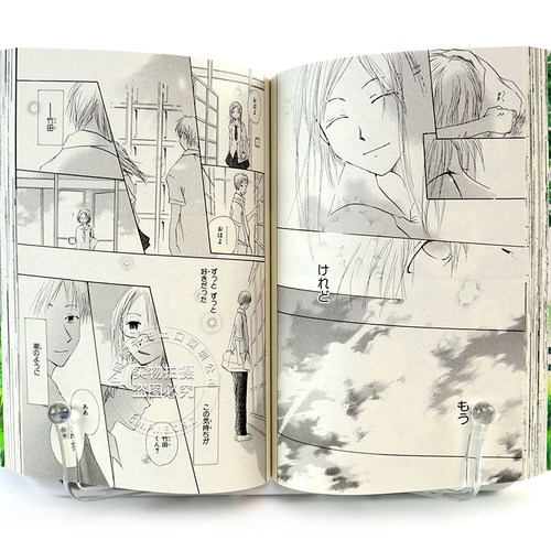 预售【深图日文】愛蔵版 蛍火の杜へ  日版 萤火之森 漫画 緑川ゆき 白泉社 日本语 原版进口 正版 书周边 - 图2