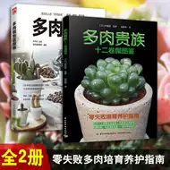 贵的多肉植物 新人首单立减十元 21年7月 淘宝海外
