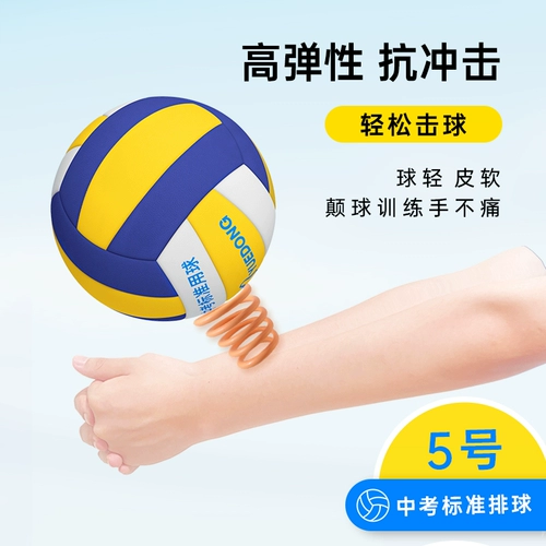 跃动 № 5 старшеклассника старших классов средней школы Стандартный экзамен