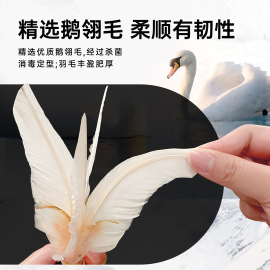 Yuedong Dabai Shuttlecock Sports and Fitness Professional Competition