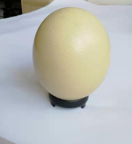 鸵鸟蛋底座非洲鸵鸟蛋壳底坐矮脚简款底座摆件礼品支架底托托盘 - 图2