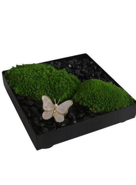 新中式样板房客厅茶几洽谈桌飘窗托盘茶具永生苔藓组合装饰摆件