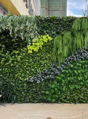 定制绿植墙仿真植物墙阳台塑料装饰背景户外绿化网红景观创意墙