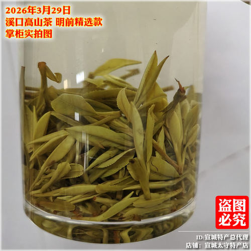 溪口高山茶2026年清明前兰香茶春茶新茶绿茶叶安徽宣城土特产包邮 - 图3