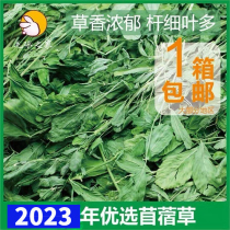 毛球之家23年烘干紫花苜蓿草龙猫兔兔子荷兰猪绿叶多杆细750g净重