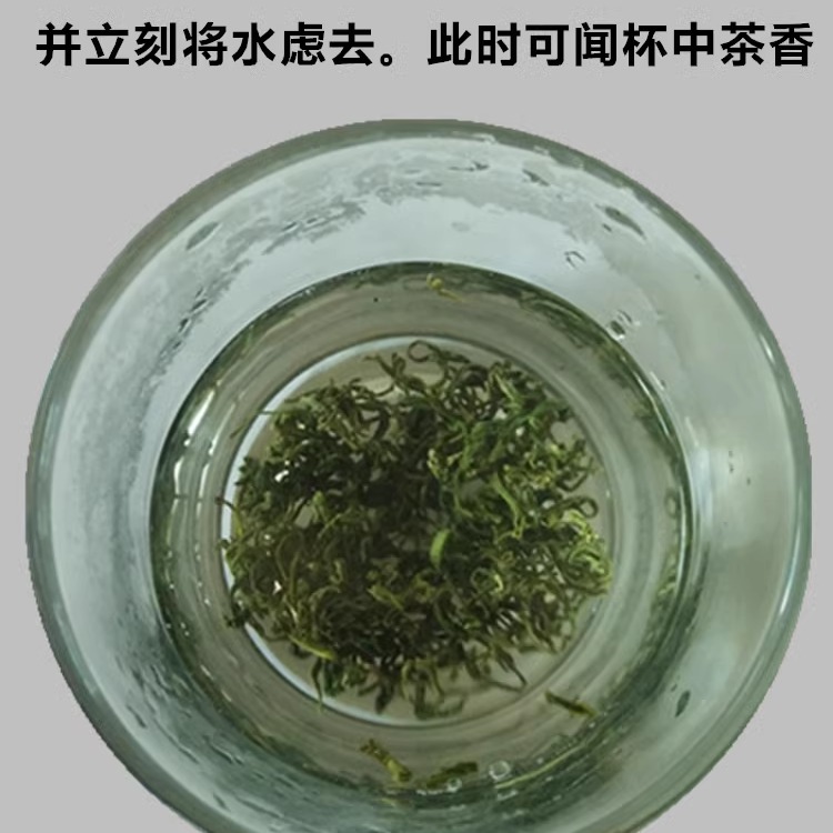 2024新茶江西遂川汤湖狗牯脑茶明前茶珍品500克 - 图1