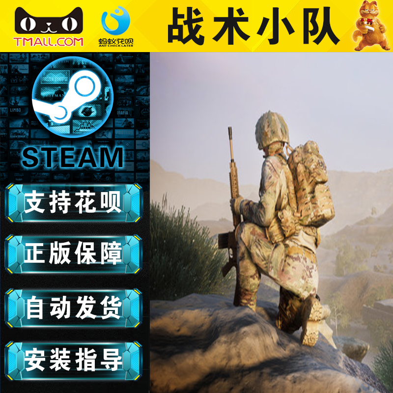 STEAM PC正版中文 Squad 战术小队 行动小组 阿区/土区/国区/俄区/印度全球激活码 礼物/成品号 - 图3