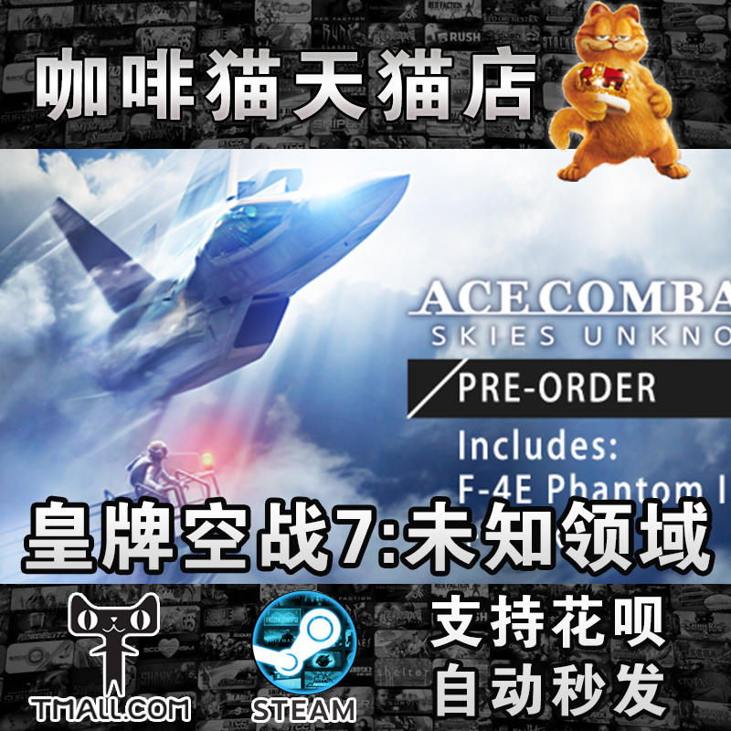 PC正版steam中文皇牌空战7未知空域 TOP GUN Maverick未知领域 ACECOMBAT7:SKIES-图3