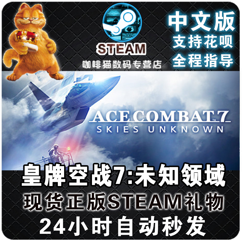 PC正版steam中文皇牌空战7未知空域 TOP GUN Maverick未知领域 ACECOMBAT7:SKIES-图0