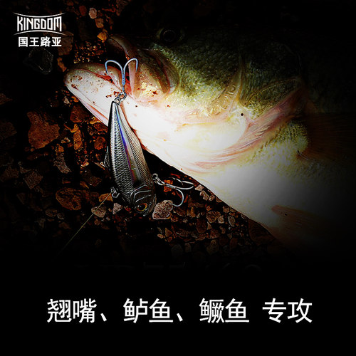 塑料vib路亚饵20响珠30克15远投海钓翘嘴鲈鱼vlb假饵vip路亚鱼饵 - 图0