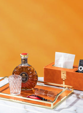 创意简约皮质纸巾盒轻奢家用卧室餐厅网红客厅抽纸盒茶几装饰摆件