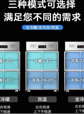 九鼎王焰商用冷藏冷冻厨房不锈钢