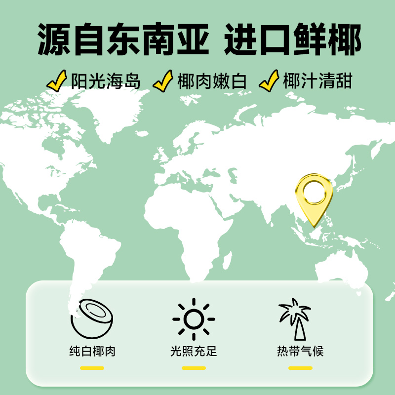 【包邮】轻上椰汁饮品0糖生椰饮料东南亚椰奶椰乳椰子汁整箱批发 - 图1