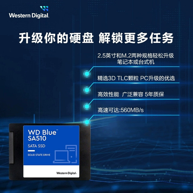 WD Western Digital Solid State Drive SA510