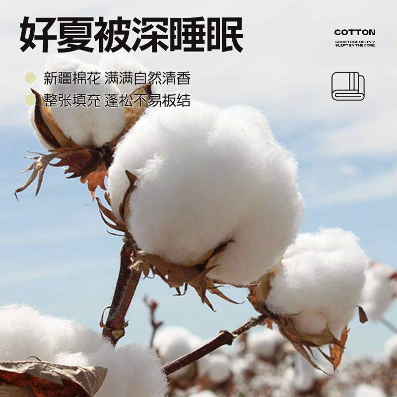 新疆棉夏凉被子夏被薄款春秋空调被水洗棉可机洗宿舍学生空调被芯,淘宝优惠券,粉丝福利购,淘宝优惠卷