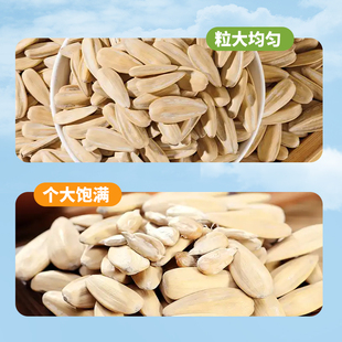 馋玛仕轻盐打手瓜子脱皮多味香瓜子炒货